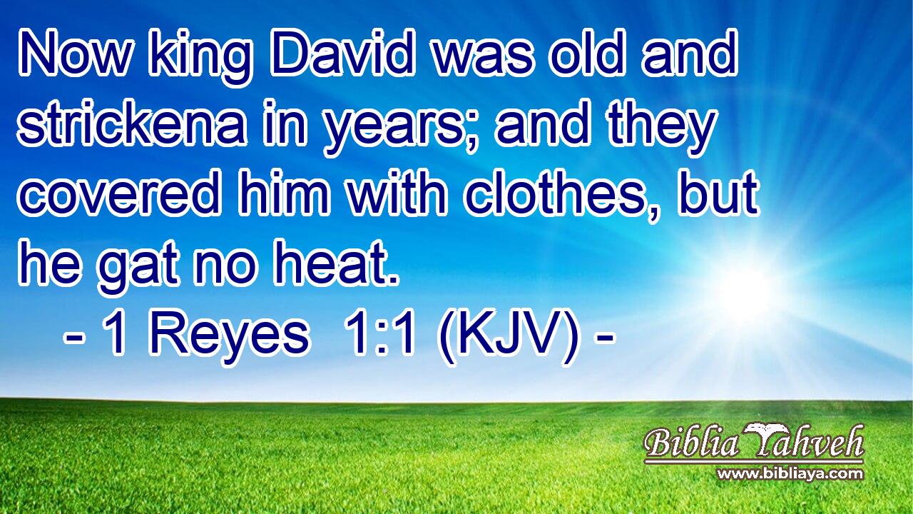 Now king David was old and strickena in years; and they covered him with clothes, but he gat no heat.