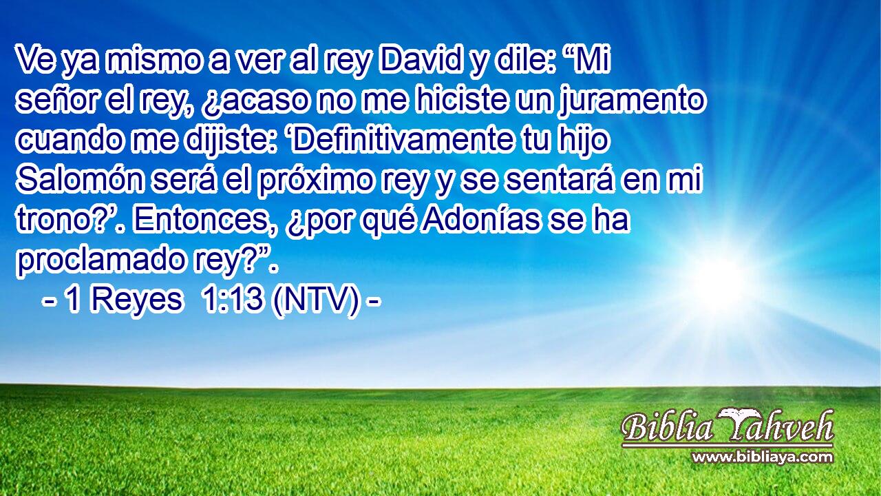 Ve ya mismo a ver al rey David y dile: “Mi señor el rey, ¿acaso no me hiciste un juramento cuando me dijiste: ‘Definitivamente tu hijo Salomón será el próximo rey y se sentará en mi trono?’. Entonces, ¿por qué Adonías se ha proclamado rey?”.