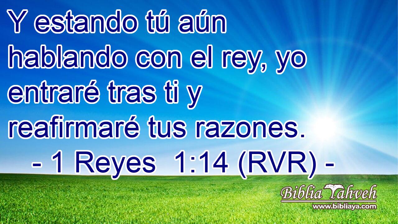 Y estando tú aún hablando con el rey, yo entraré tras ti y reafirmaré tus razones.