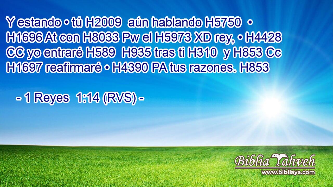 Y estando • tú H2009  aún hablando H5750  • H1696 At con H8033 Pw el H5973 XD rey, • H4428 CC yo entraré H589  H935 tras ti H310  y H853 Cc H1697 reafirmaré • H4390 PA tus razones. H853  