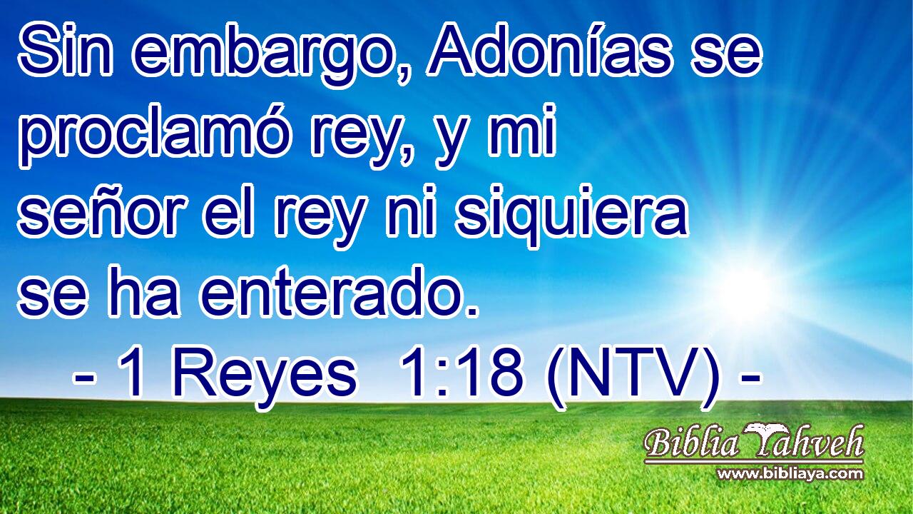 Sin embargo, Adonías se proclamó rey, y mi señor el rey ni siquiera se ha enterado.