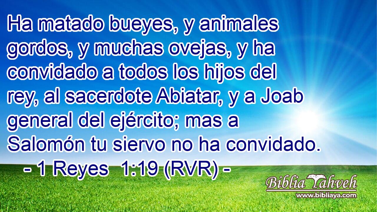 Ha matado bueyes, y animales gordos, y muchas ovejas, y ha convidado a todos los hijos del rey, al sacerdote Abiatar, y a Joab general del ejército; mas a Salomón tu siervo no ha convidado.
