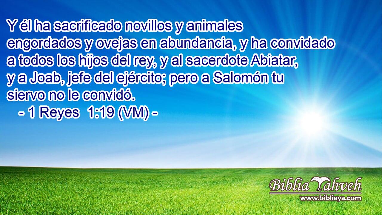  Y él ha sacrificado novillos y animales engordados y ovejas en abundancia, y ha convidado a todos los hijos del rey, y al sacerdote Abiatar, y a Joab, jefe del ejército; pero a Salomón tu siervo no le convidó. 