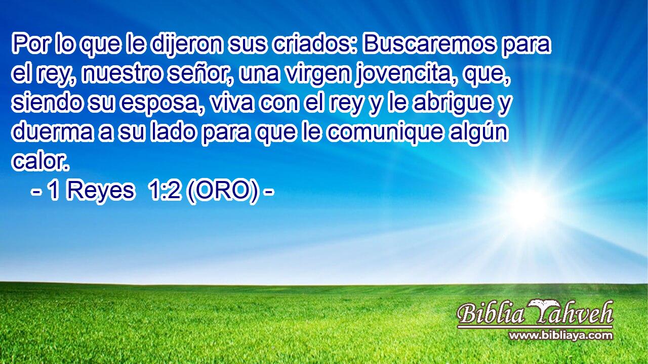  Por lo que le dijeron sus criados: Buscaremos para el rey, nuestro señor, una virgen jovencita, que, siendo su esposa, viva con el rey y le abrigue y duerma a su lado para que le comunique algún calor. 