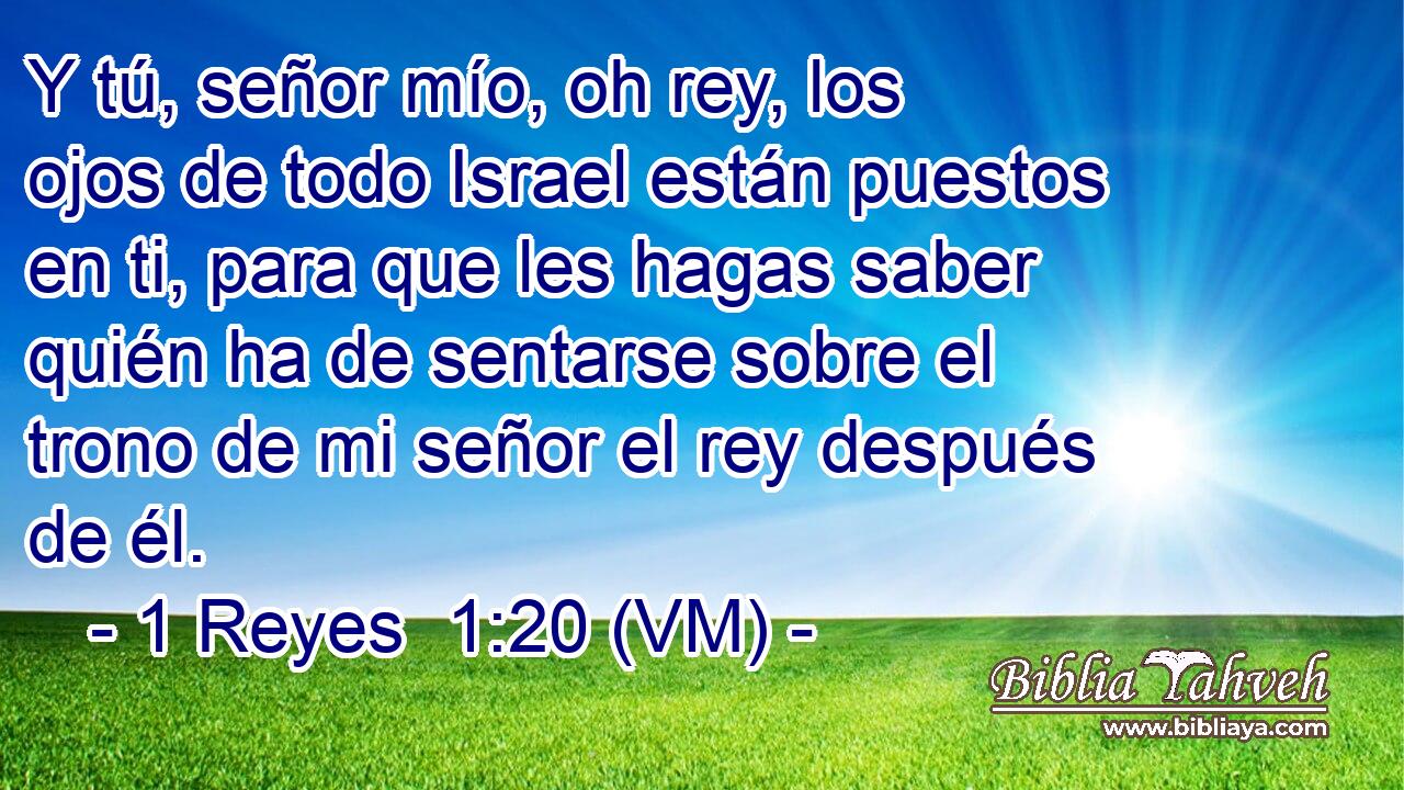  Y tú, señor mío, oh rey, los ojos de todo Israel están puestos en ti, para que les hagas saber quién ha de sentarse sobre el trono de mi señor el rey después de él. 