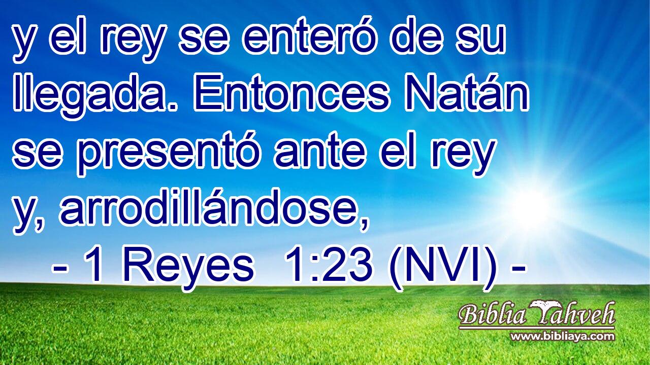  y el rey se enteró de su llegada. Entonces Natán se presentó ante el rey y, arrodillándose, 
