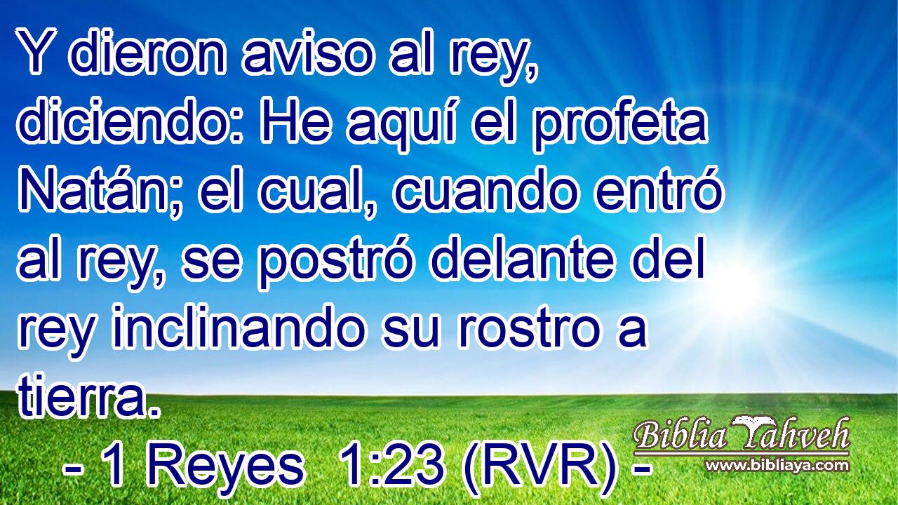 Y dieron aviso al rey, diciendo: He aquí el profeta Natán; el cual, cuando entró al rey, se postró delante del rey inclinando su rostro a tierra.