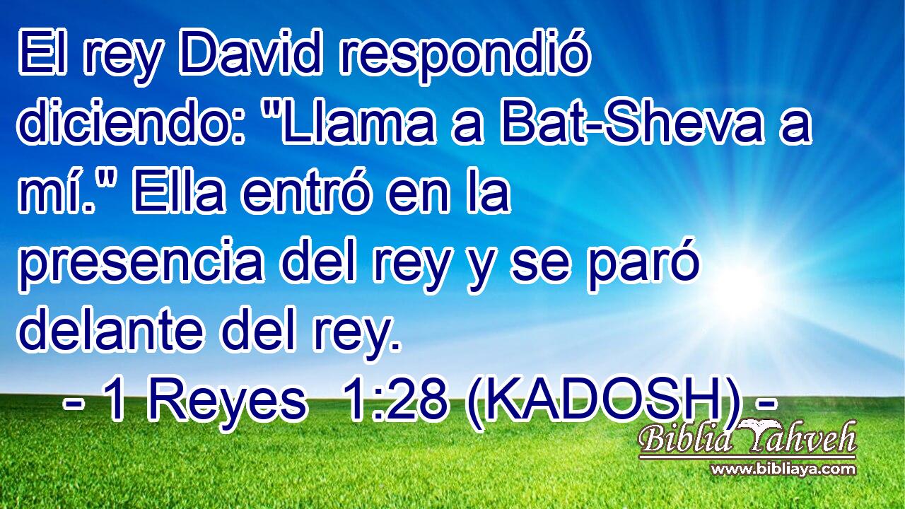  El rey David respondió diciendo: 