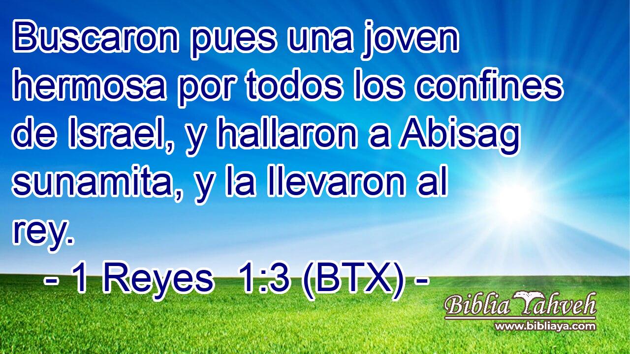 Buscaron pues una joven hermosa por todos los confines de Israel, y hallaron a Abisag sunamita, y la llevaron al rey.