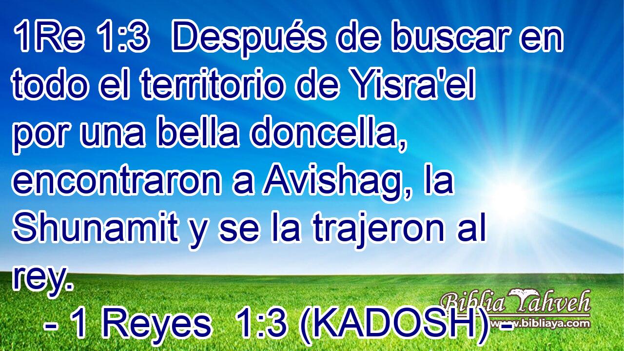  Después de buscar en todo el territorio de Yisra'el por una bella doncella, encontraron a Avishag, la Shunamit y se la trajeron al rey. 