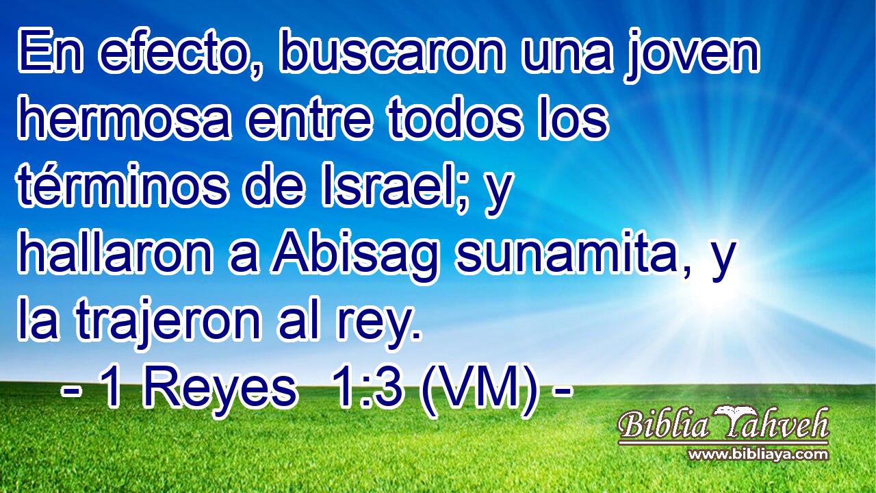  En efecto, buscaron una joven hermosa entre todos los términos de Israel; y hallaron a Abisag sunamita, y la trajeron al rey. 