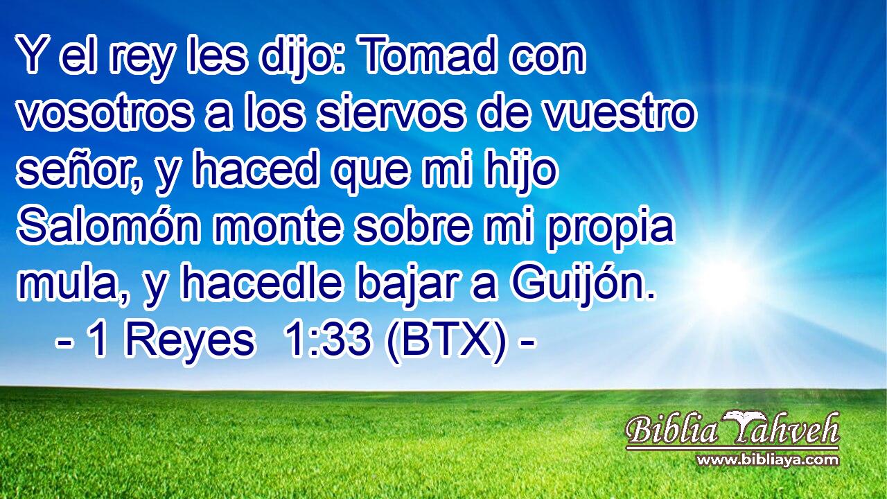 Y el rey les dijo: Tomad con vosotros a los siervos de vuestro señor, y haced que mi hijo Salomón monte sobre mi propia mula, y hacedle bajar a Guijón.