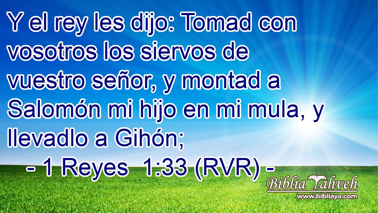 Y el rey les dijo: Tomad con vosotros los siervos de vuestro señor, y montad a Salomón mi hijo en mi mula, y llevadlo a Gihón;
