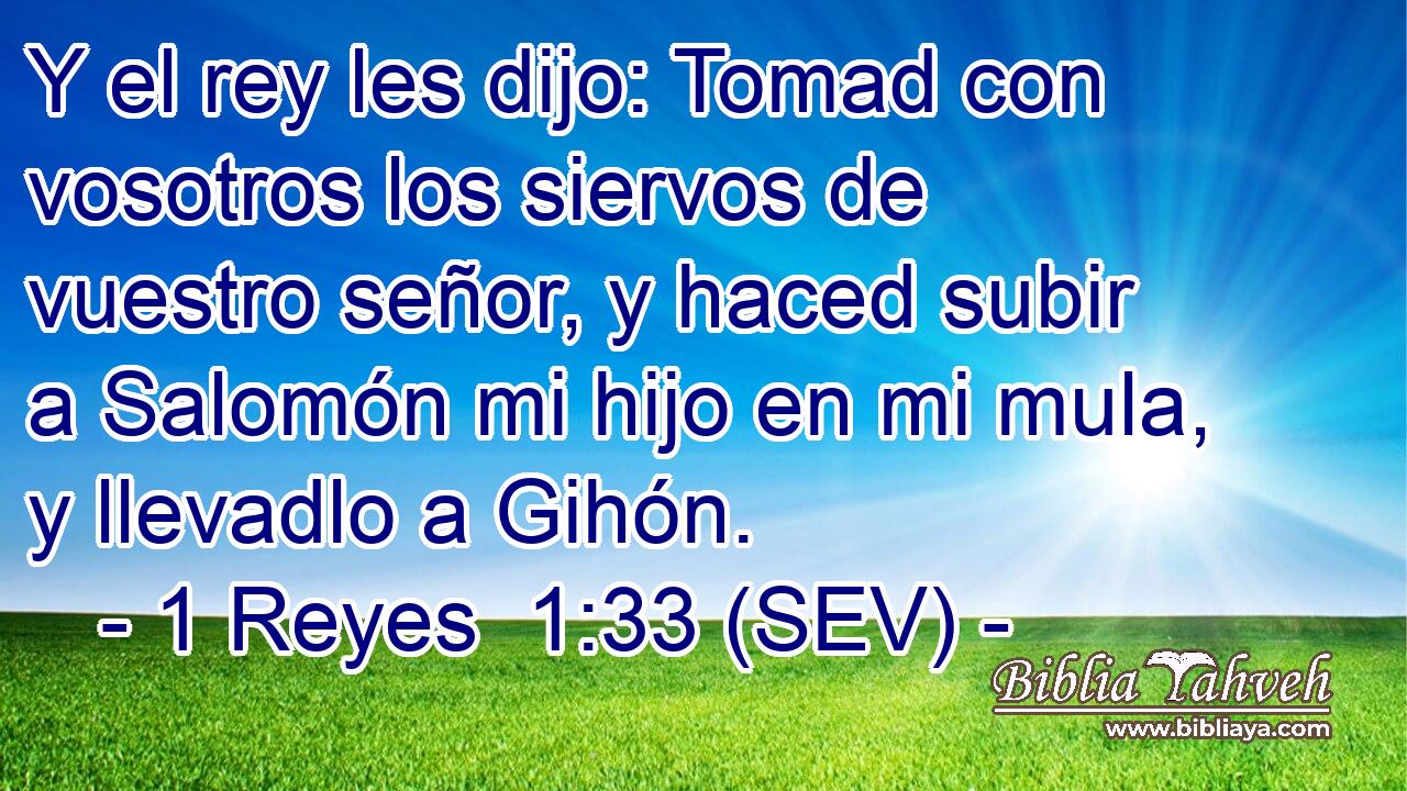 Y el rey les dijo: Tomad con vosotros los siervos de vuestro señor, y haced subir a Salomón mi hijo en mi mula, y llevadlo a Gihón.