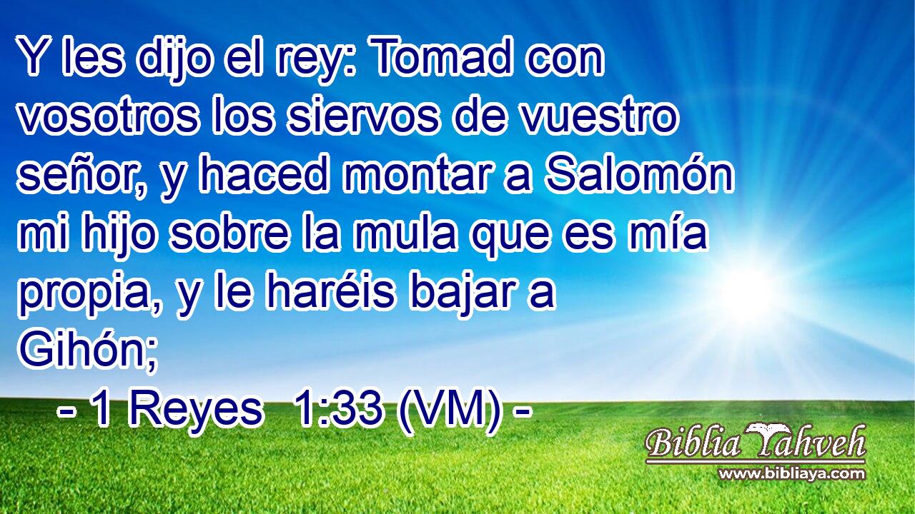  Y les dijo el rey: Tomad con vosotros los siervos de vuestro señor, y haced montar a Salomón mi hijo sobre la mula que es mía propia, y le haréis bajar a Gihón; 