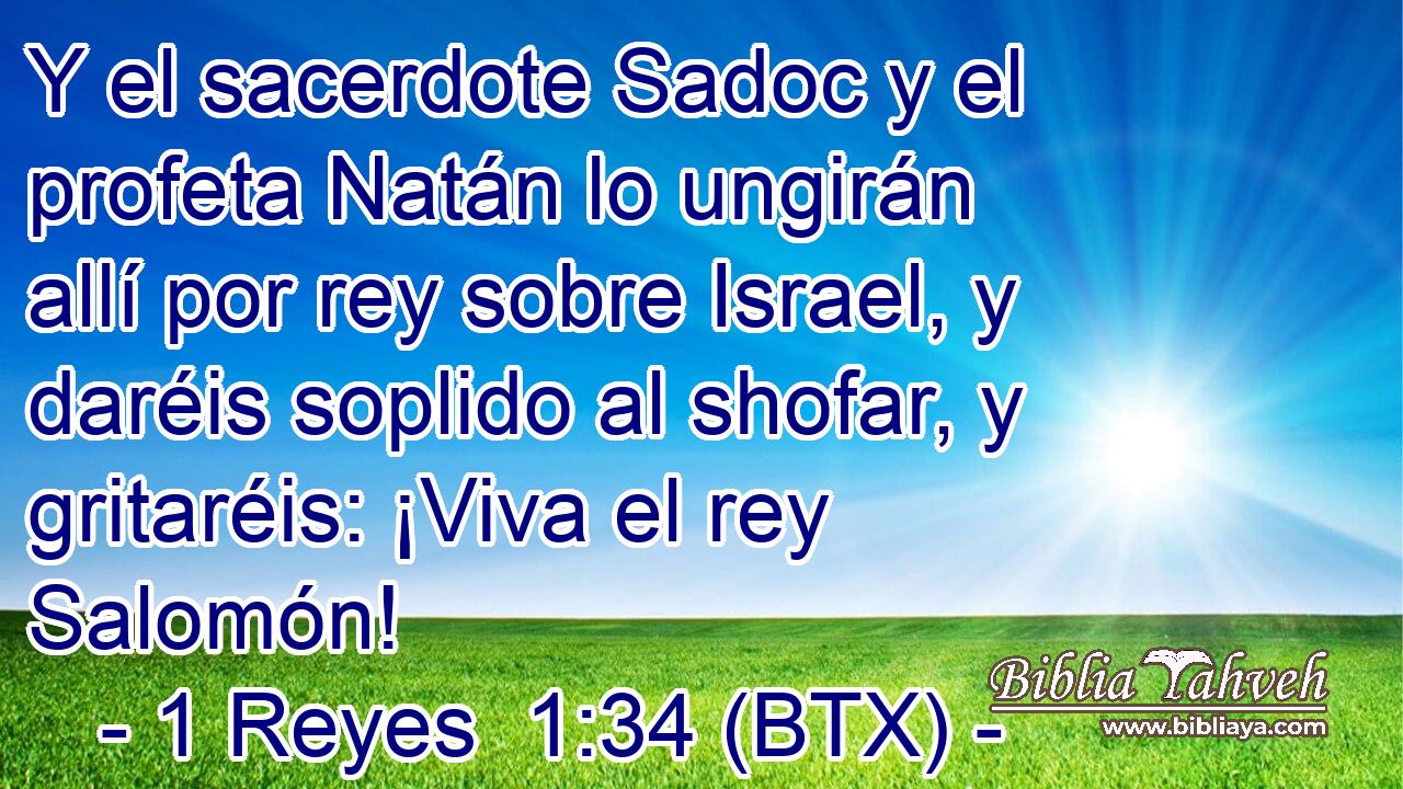 Y el sacerdote Sadoc y el profeta Natán lo ungirán allí por rey sobre Israel, y daréis soplido al shofar, y gritaréis: ¡Viva el rey Salomón!