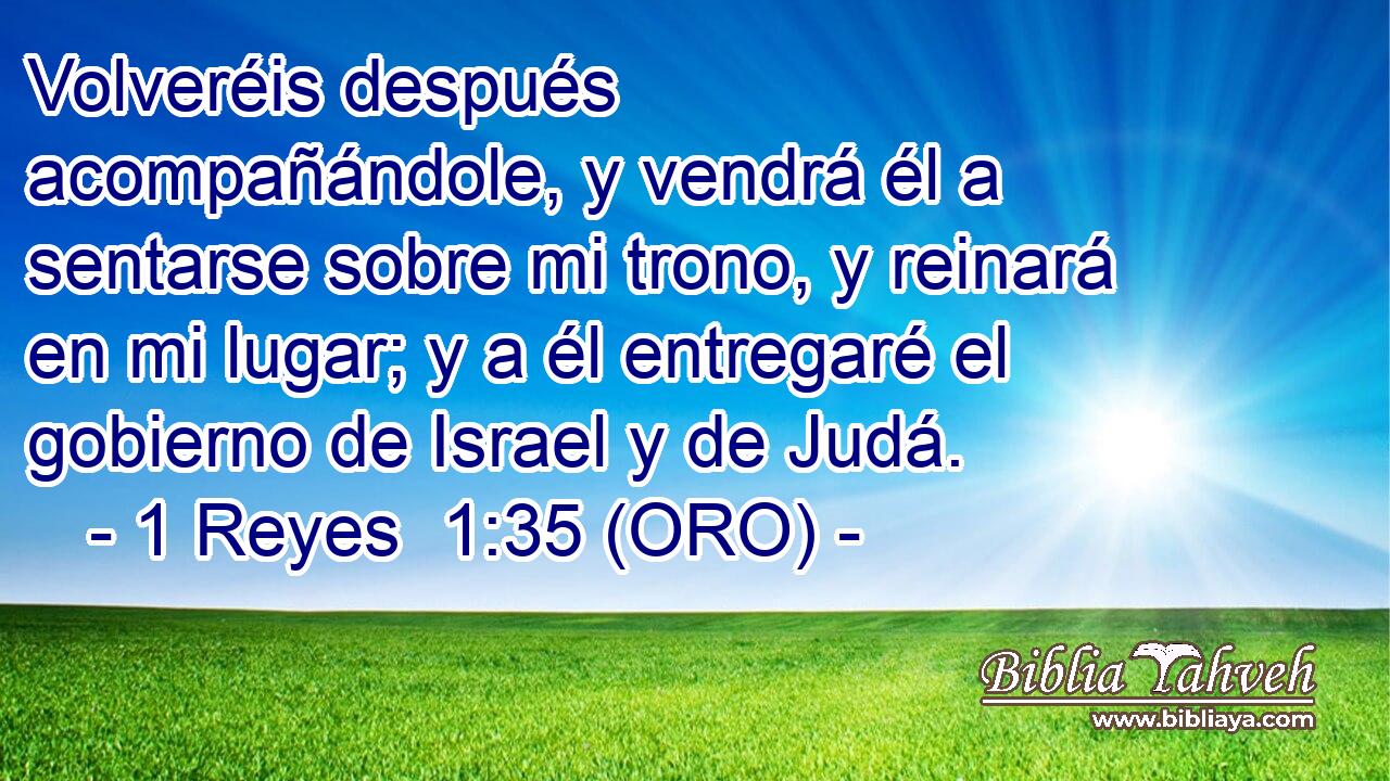  Volveréis después acompañándole, y vendrá él a sentarse sobre mi trono, y reinará en mi lugar; y a él entregaré el gobierno de Israel y de Judá. 