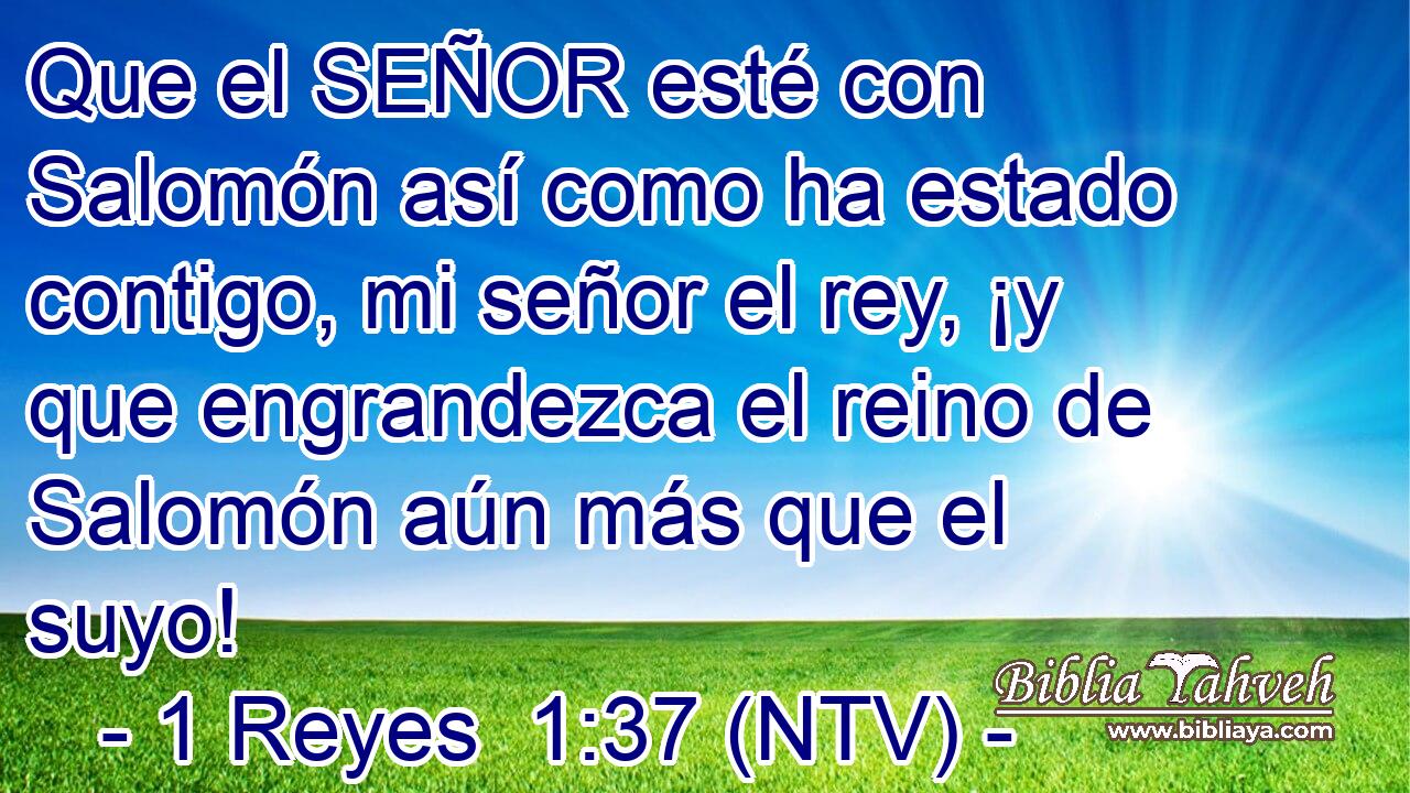 Que el SEÑOR esté con Salomón así como ha estado contigo, mi señor el rey, ¡y que engrandezca el reino de Salomón aún más que el suyo!