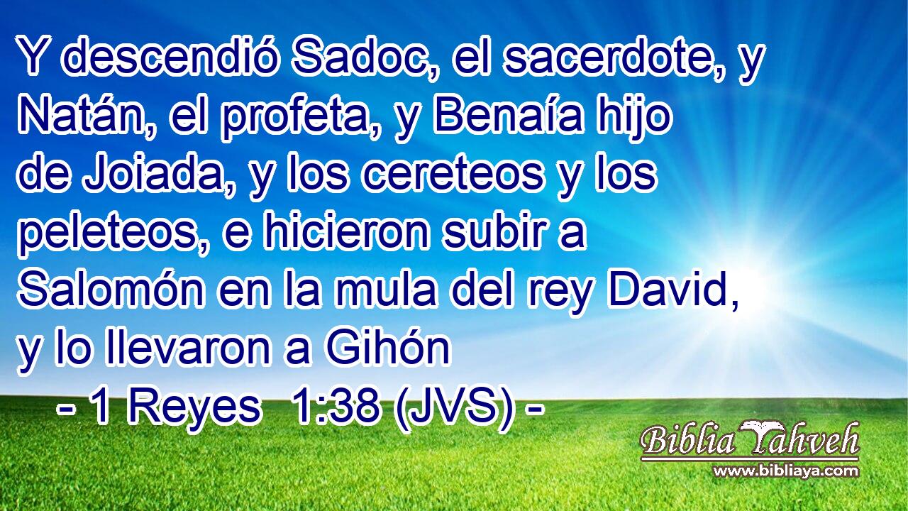 Y descendió Sadoc, el sacerdote, y Natán, el profeta, y Benaía hijo de Joiada, y los cereteos y los peleteos, e hicieron subir a Salomón en la mula del rey David, y lo llevaron a Gihón