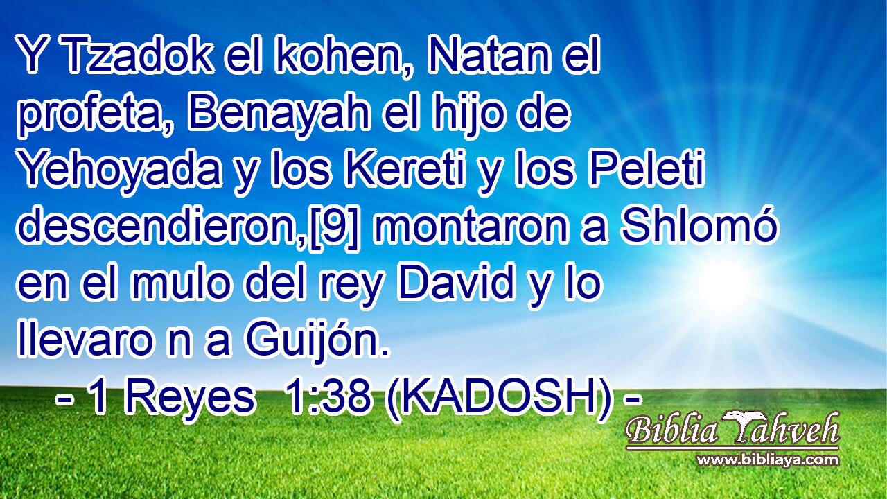  Y Tzadok el kohen, Natan el profeta, Benayah el hijo de Yehoyada y los Kereti y los Peleti descendieron,[9] montaron a Shlomó en el mulo del rey David y lo llevaro n a Guijón. 