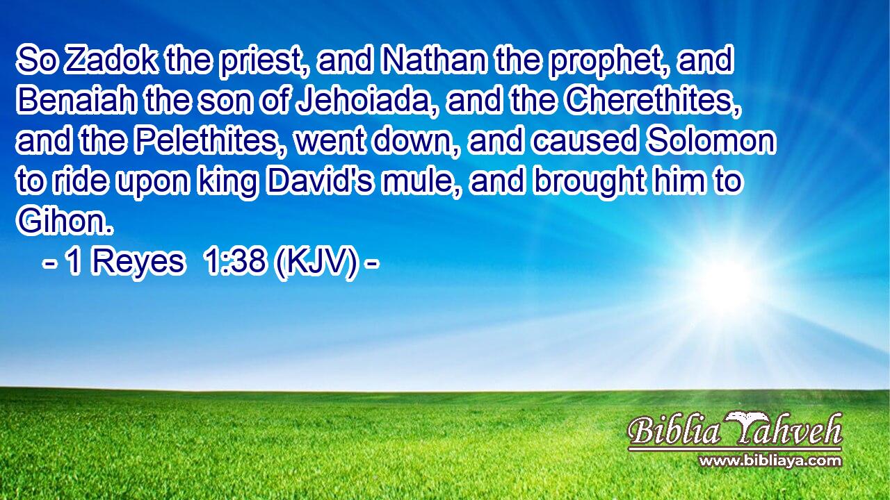 So Zadok the priest, and Nathan the prophet, and Benaiah the son of Jehoiada, and the Cherethites, and the Pelethites, went down, and caused Solomon to ride upon king David's mule, and brought him to Gihon.