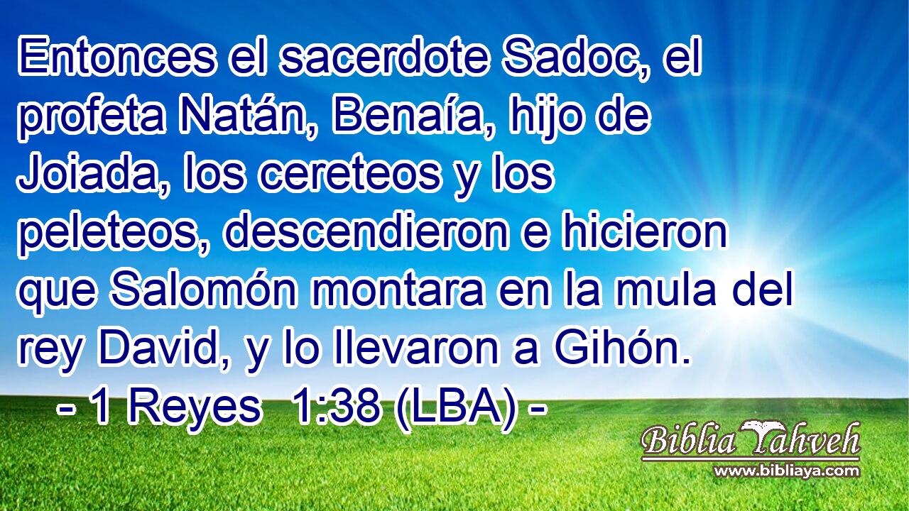 Entonces el sacerdote Sadoc, el profeta Natán, Benaía, hijo de Joiada, los cereteos y los peleteos, descendieron e hicieron que Salomón montara en la mula del rey David, y lo llevaron a Gihón.