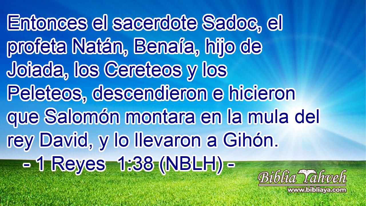  Entonces el sacerdote Sadoc, el profeta Natán, Benaía, hijo de Joiada, los Cereteos y los Peleteos, descendieron e hicieron que Salomón montara en la mula del rey David, y lo llevaron a Gihón. 