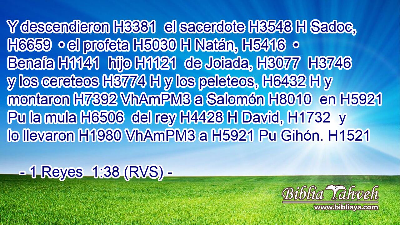 Y descendieron H3381  el sacerdote H3548 H Sadoc, H6659  • el profeta H5030 H Natán, H5416  • Benaía H1141  hijo H1121  de Joiada, H3077  H3746 y los cereteos H3774 H y los peleteos, H6432 H y montaron H7392 VhAmPM3 a Salomón H8010  en H5921 Pu la mula H6506  del rey H4428 H David, H1732  y lo llevaron H1980 VhAmPM3 a H5921 Pu Gihón. H1521  