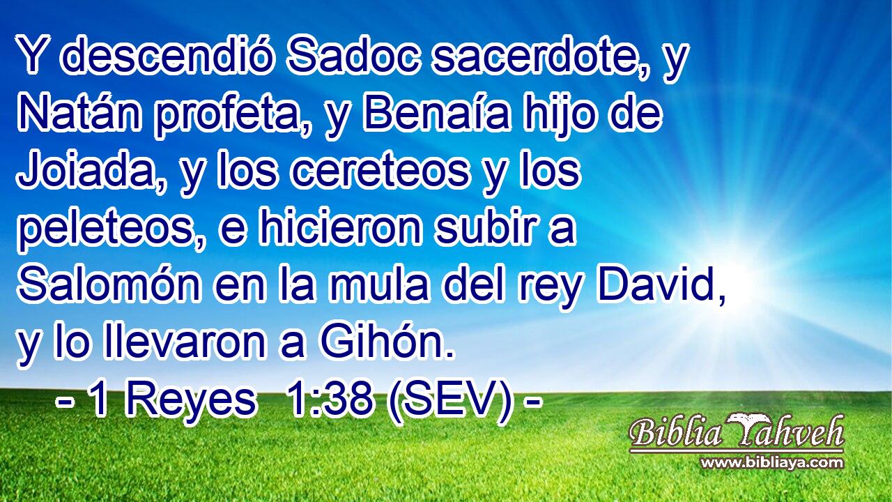 Y descendió Sadoc sacerdote, y Natán profeta, y Benaía hijo de Joiada, y los cereteos y los peleteos, e hicieron subir a Salomón en la mula del rey David, y lo llevaron a Gihón.