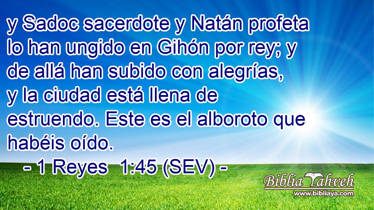 y Sadoc sacerdote y Natán profeta lo han ungido en Gihón por rey; y de allá han subido con alegrías, y la ciudad está llena de estruendo. Este es el alboroto que habéis oído.