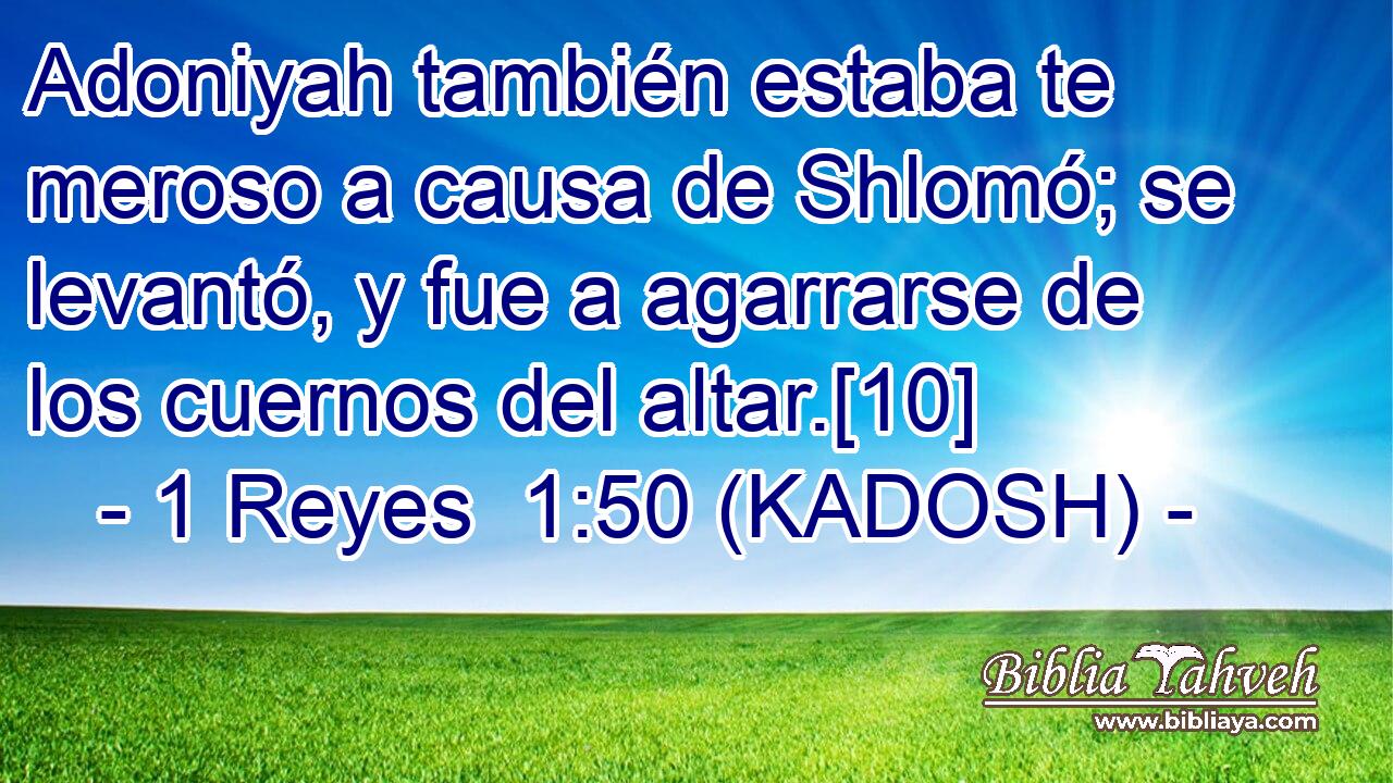  Adoniyah también estaba te meroso a causa de Shlomó; se levantó, y fue a agarrarse de los cuernos del altar.[10] 