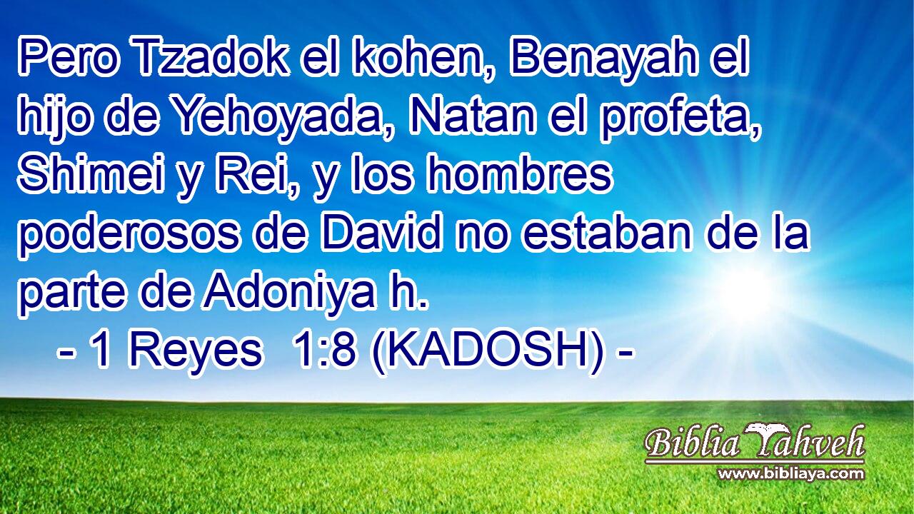  Pero Tzadok el kohen, Benayah el hijo de Yehoyada, Natan el profeta, Shimei y Rei, y los hombres poderosos de David no estaban de la parte de Adoniya h. 