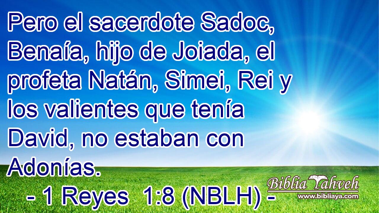  Pero el sacerdote Sadoc, Benaía, hijo de Joiada, el profeta Natán, Simei, Rei y los valientes que tenía David, no estaban con Adonías. 