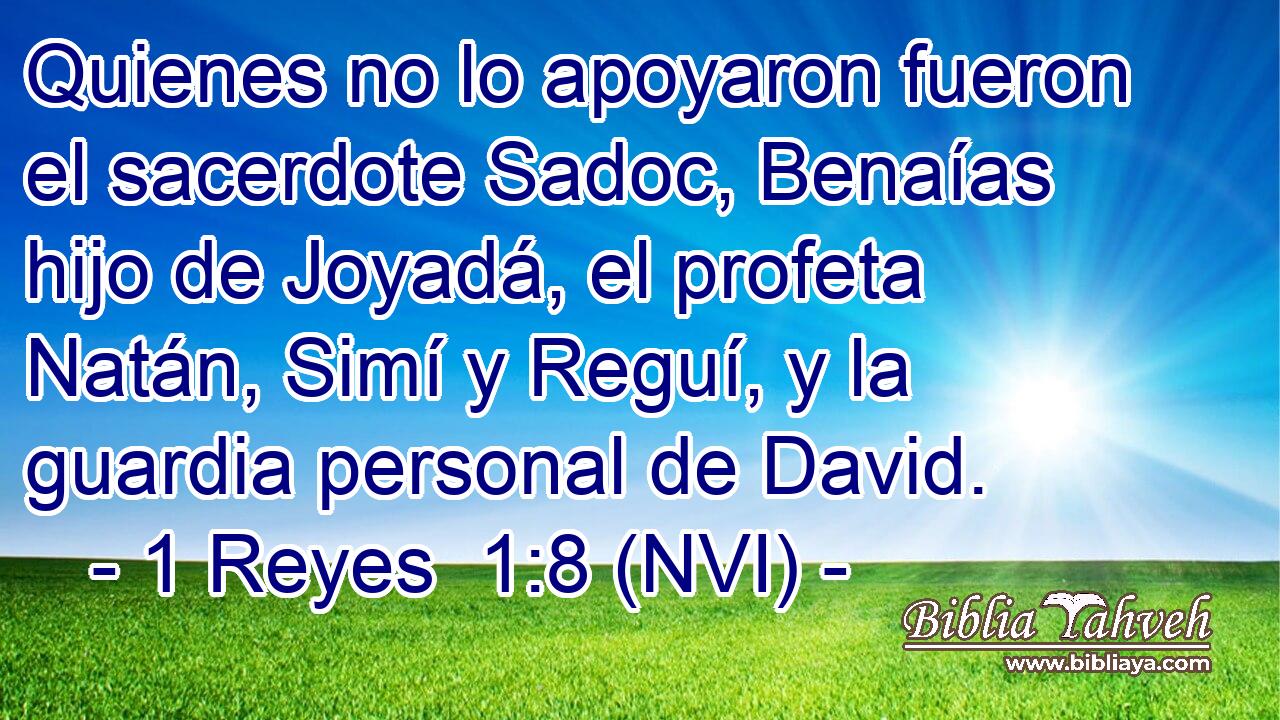  Quienes no lo apoyaron fueron el sacerdote Sadoc, Benaías hijo de Joyadá, el profeta Natán, Simí y Reguí, y la guardia personal de David. 