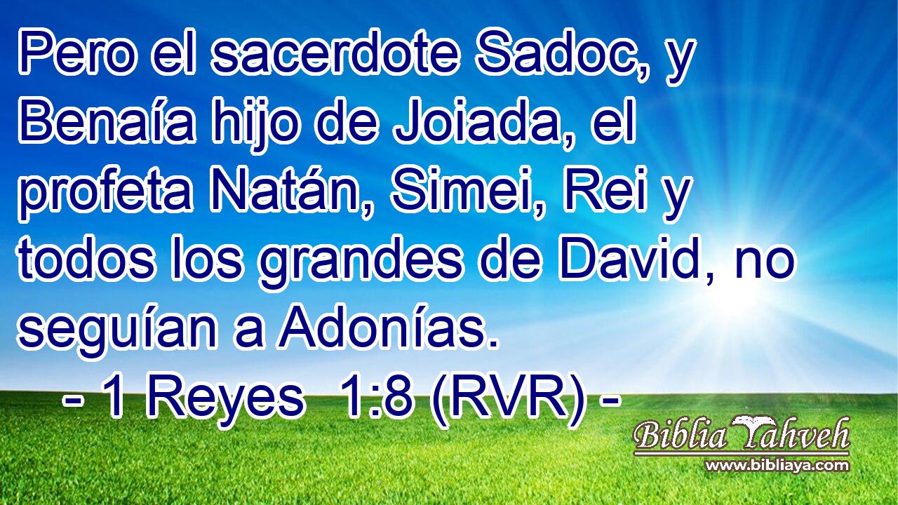 Pero el sacerdote Sadoc, y Benaía hijo de Joiada, el profeta Natán, Simei, Rei y todos los grandes de David, no seguían a Adonías.