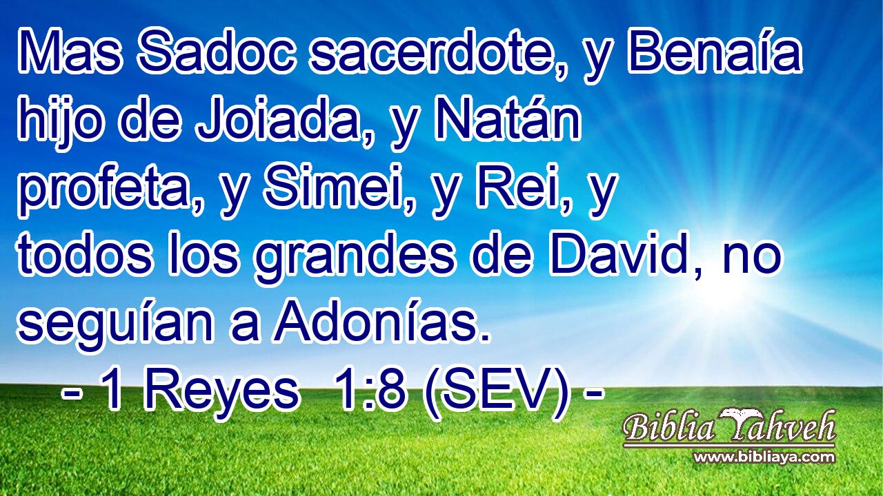 Mas Sadoc sacerdote, y Benaía hijo de Joiada, y Natán profeta, y Simei, y Rei, y todos los grandes de David, no seguían a Adonías.