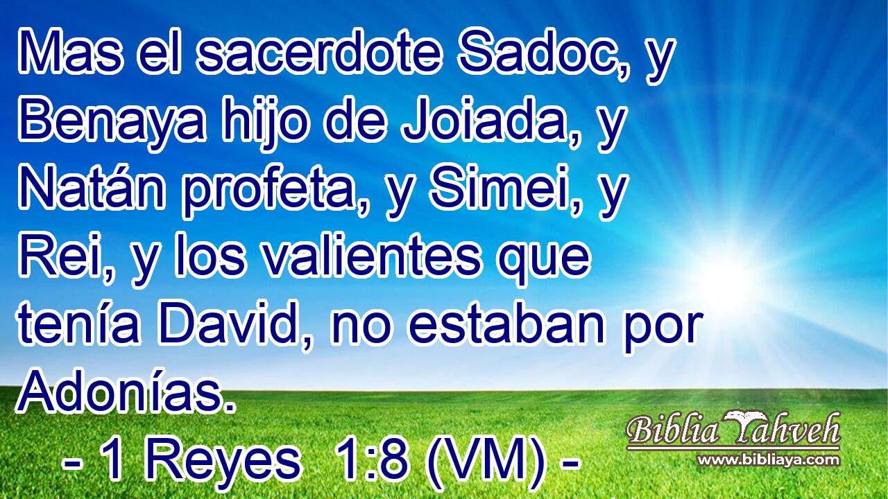  Mas el sacerdote Sadoc, y Benaya hijo de Joiada, y Natán profeta, y Simei, y Rei, y los valientes que tenía David, no estaban por Adonías. 