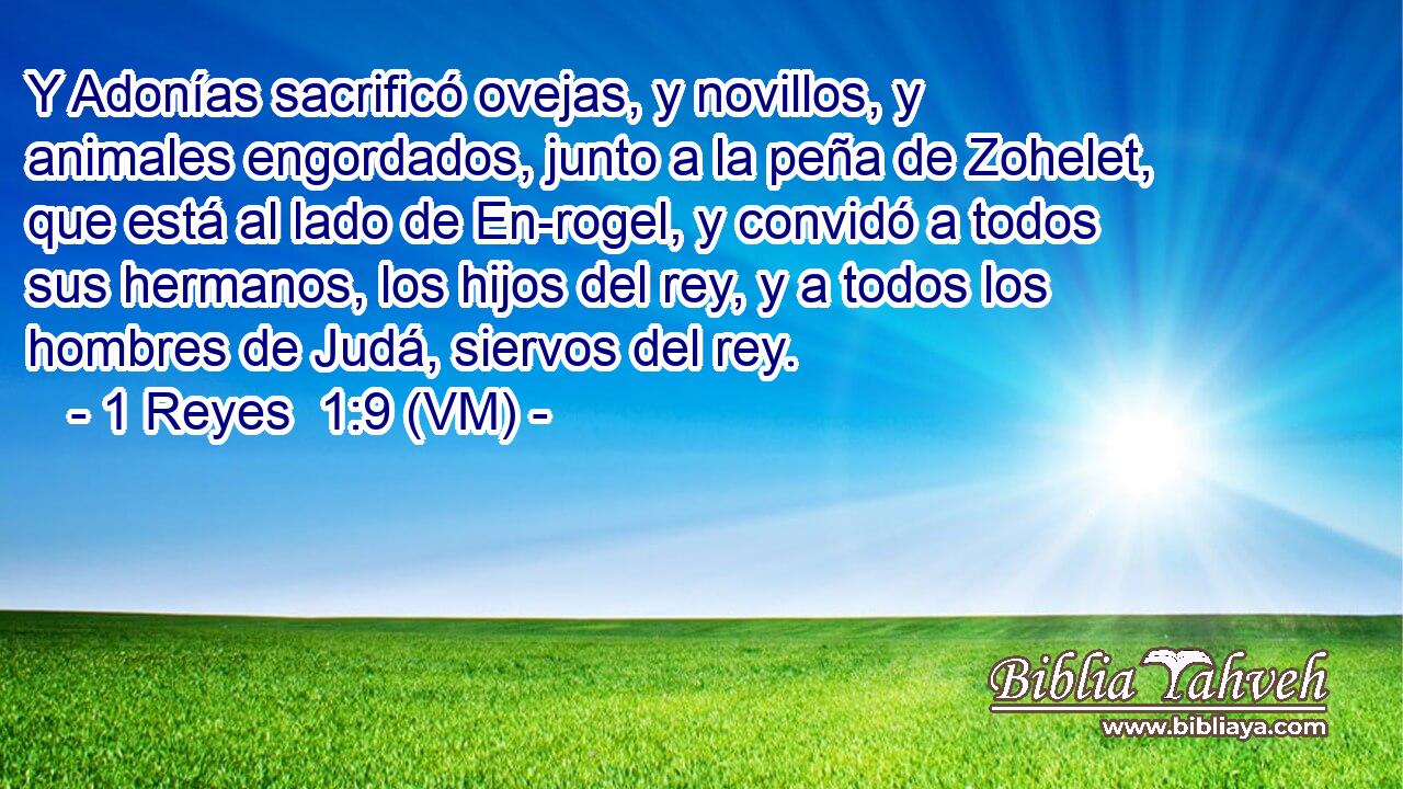  Y Adonías sacrificó ovejas, y novillos, y animales engordados, junto a la peña de Zohelet, que está al lado de En-rogel, y convidó a todos sus hermanos, los hijos del rey, y a todos los hombres de Judá, siervos del rey. 