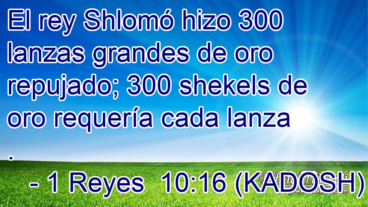  El rey Shlomó hizo 300 lanzas grandes de oro repujado; 300 shekels de oro requería cada lanza . 