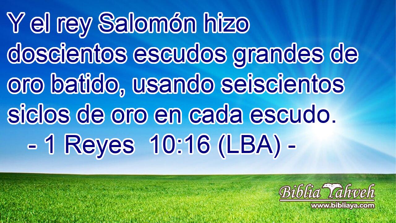 Y el rey Salomón hizo doscientos escudos grandes de oro batido, usando seiscientos siclos de oro en cada escudo.