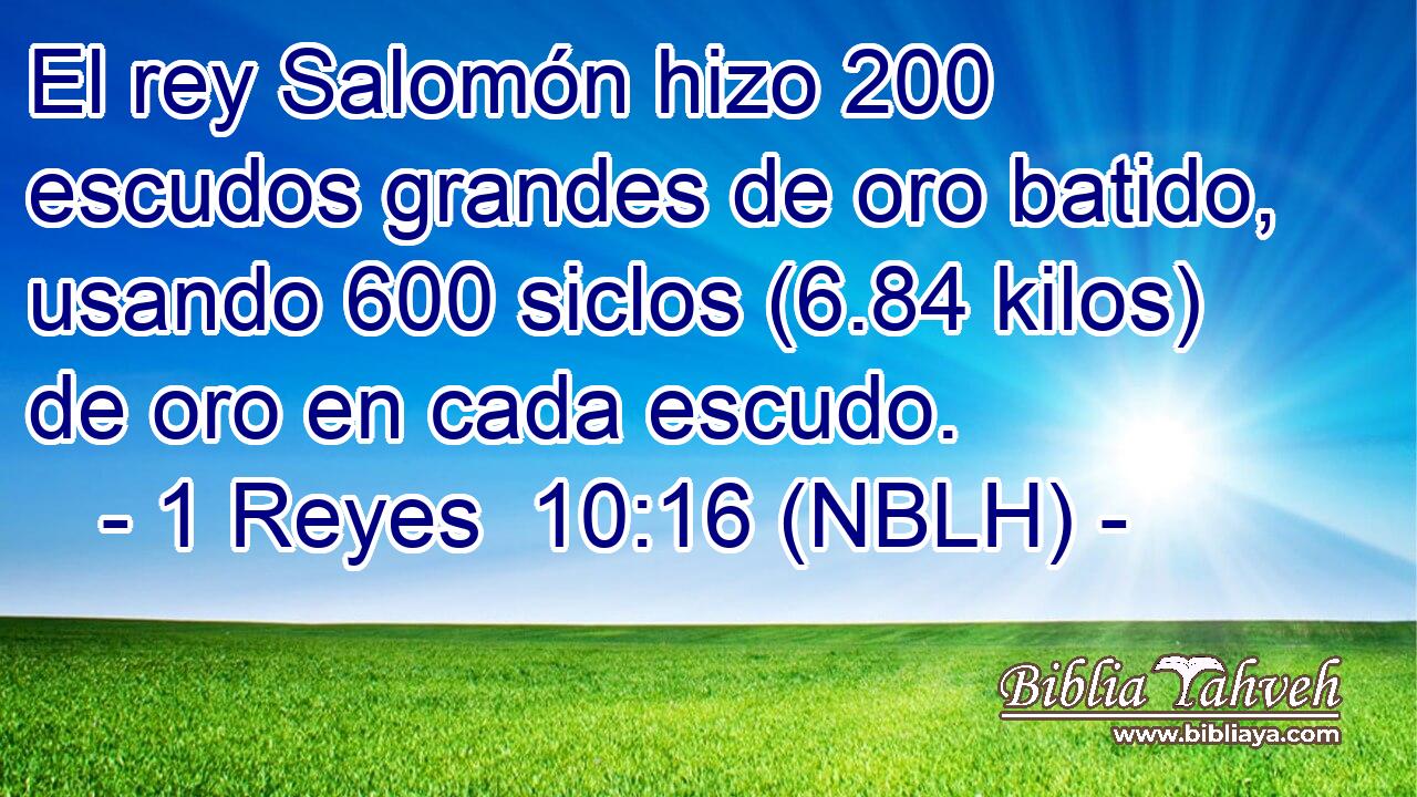  El rey Salomón hizo 200 escudos grandes de oro batido, usando 600 siclos (6.84 kilos) de oro en cada escudo. 