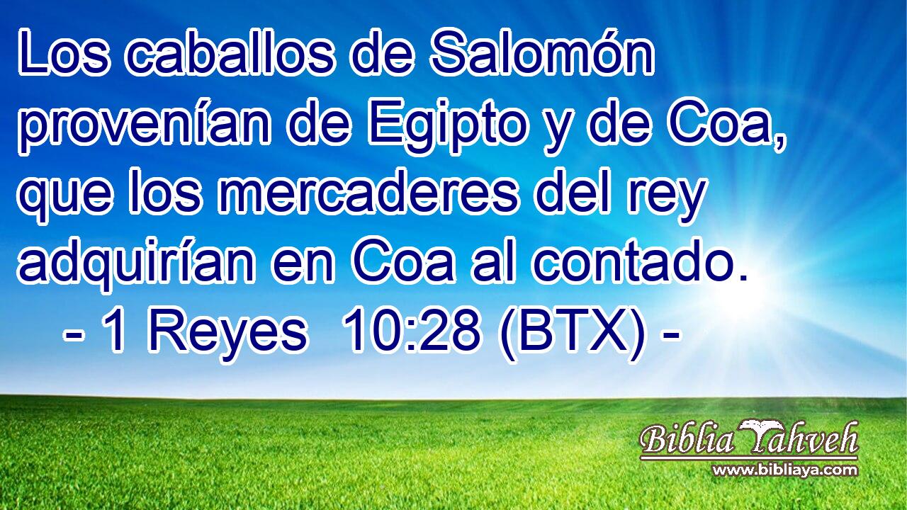 Los caballos de Salomón provenían de Egipto y de Coa, que los mercaderes del rey adquirían en Coa al contado.