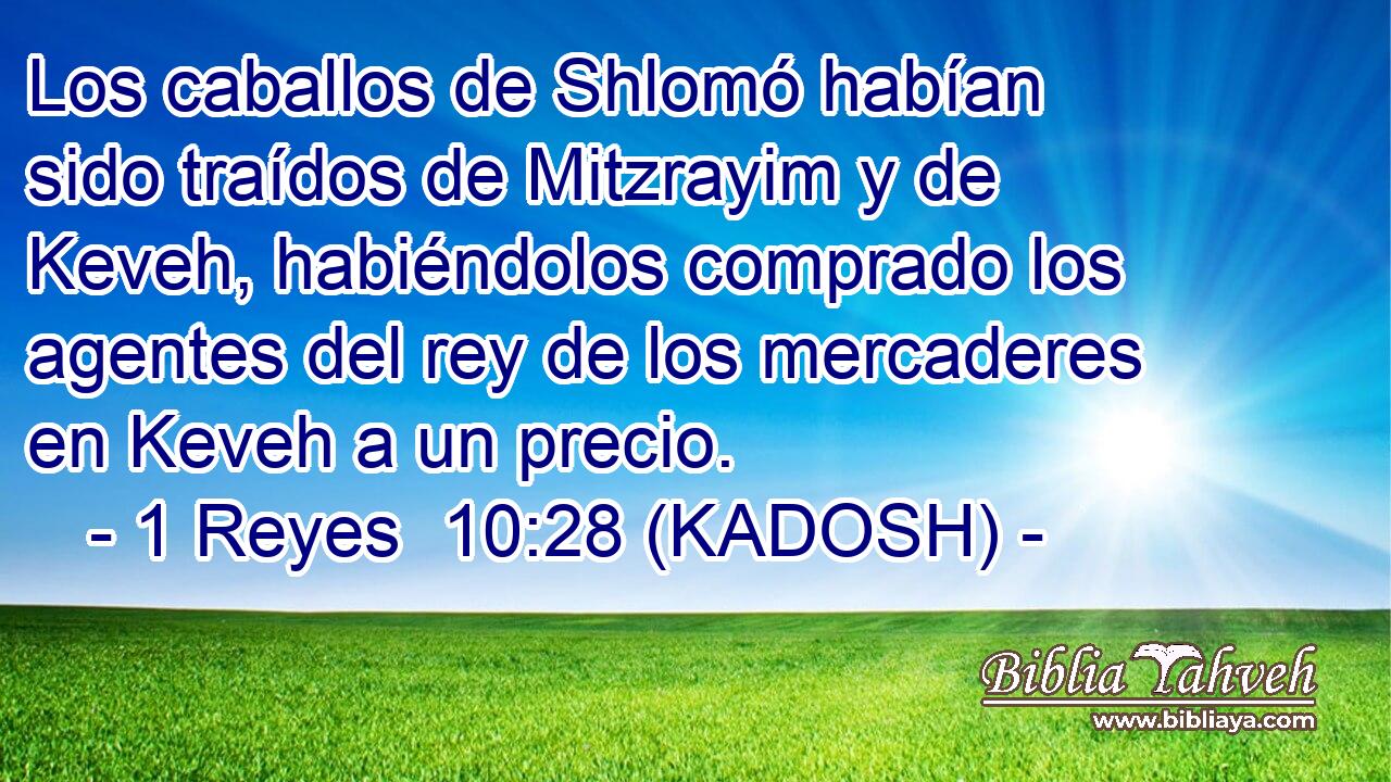  Los caballos de Shlomó habían sido traídos de Mitzrayim y de Keveh, habiéndolos comprado los agentes del rey de los mercaderes en Keveh a un precio. 
