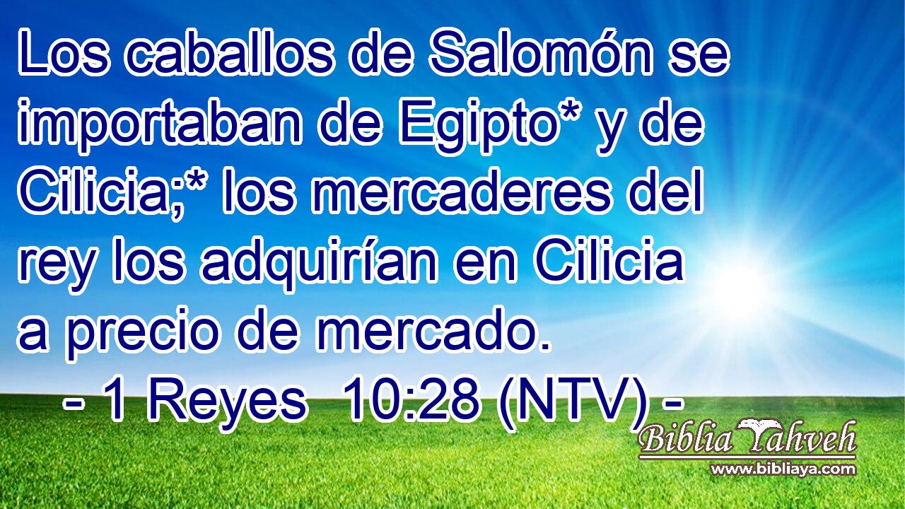 Los caballos de Salomón se importaban de Egipto* y de Cilicia;* los mercaderes del rey los adquirían en Cilicia a precio de mercado.