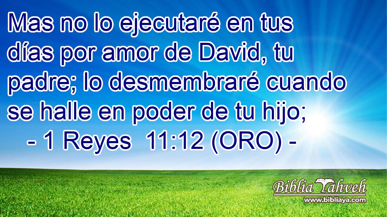  Mas no lo ejecutaré en tus días por amor de David, tu padre; lo desmembraré cuando se halle en poder de tu hijo; 
