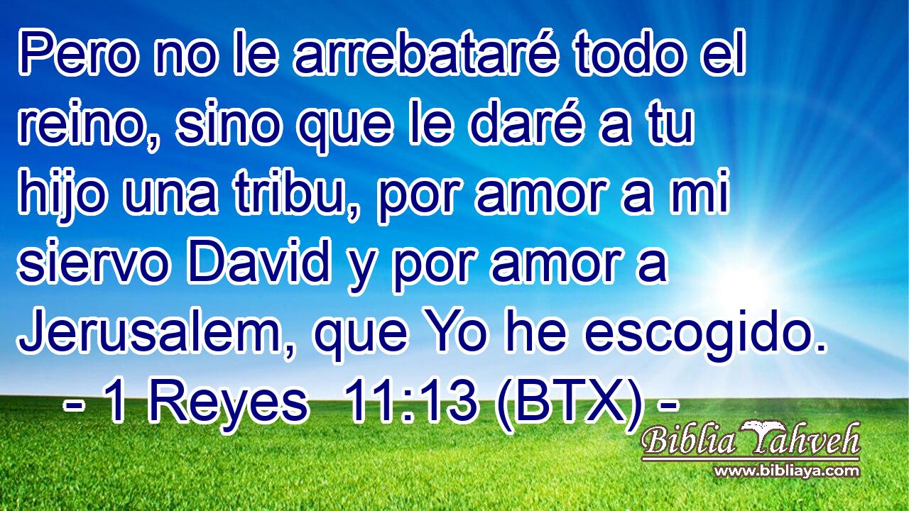 Pero no le arrebataré todo el reino, sino que le daré a tu hijo una tribu, por amor a mi siervo David y por amor a Jerusalem, que Yo he escogido.
