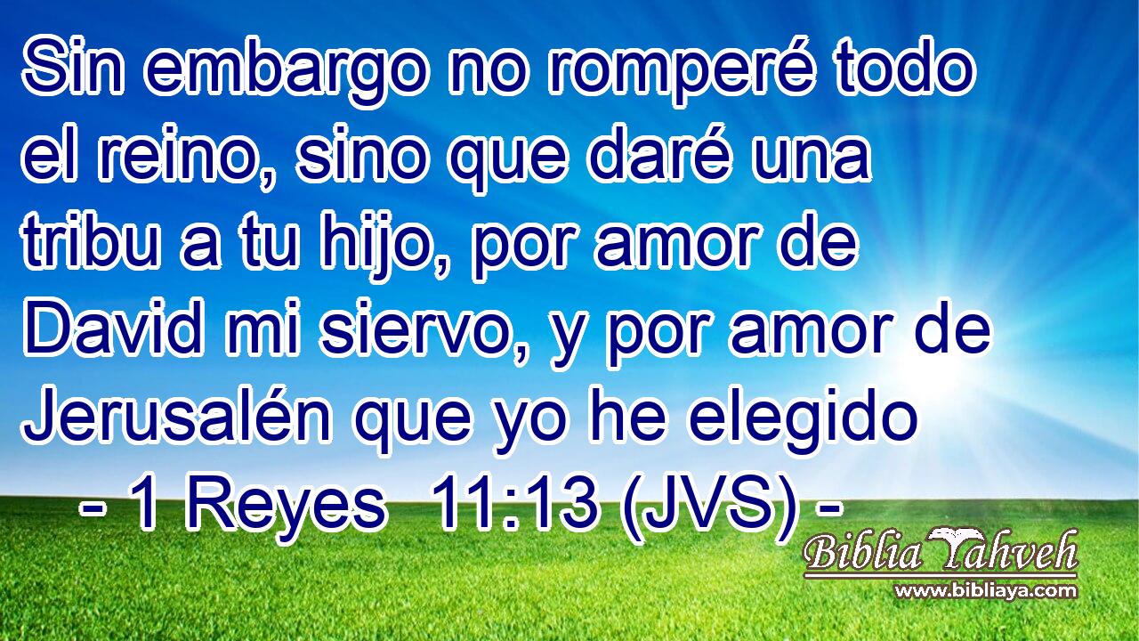 Sin embargo no romperé todo el reino, sino que daré una tribu a tu hijo, por amor de David mi siervo, y por amor de Jerusalén que yo he elegido