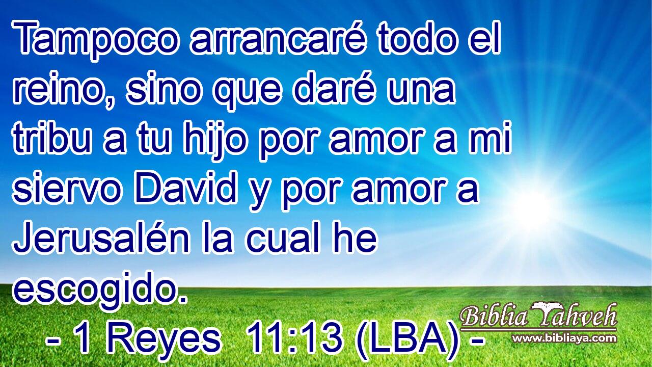Tampoco arrancaré todo el reino, sino que daré una tribu a tu hijo por amor a mi siervo David y por amor a Jerusalén la cual he escogido.