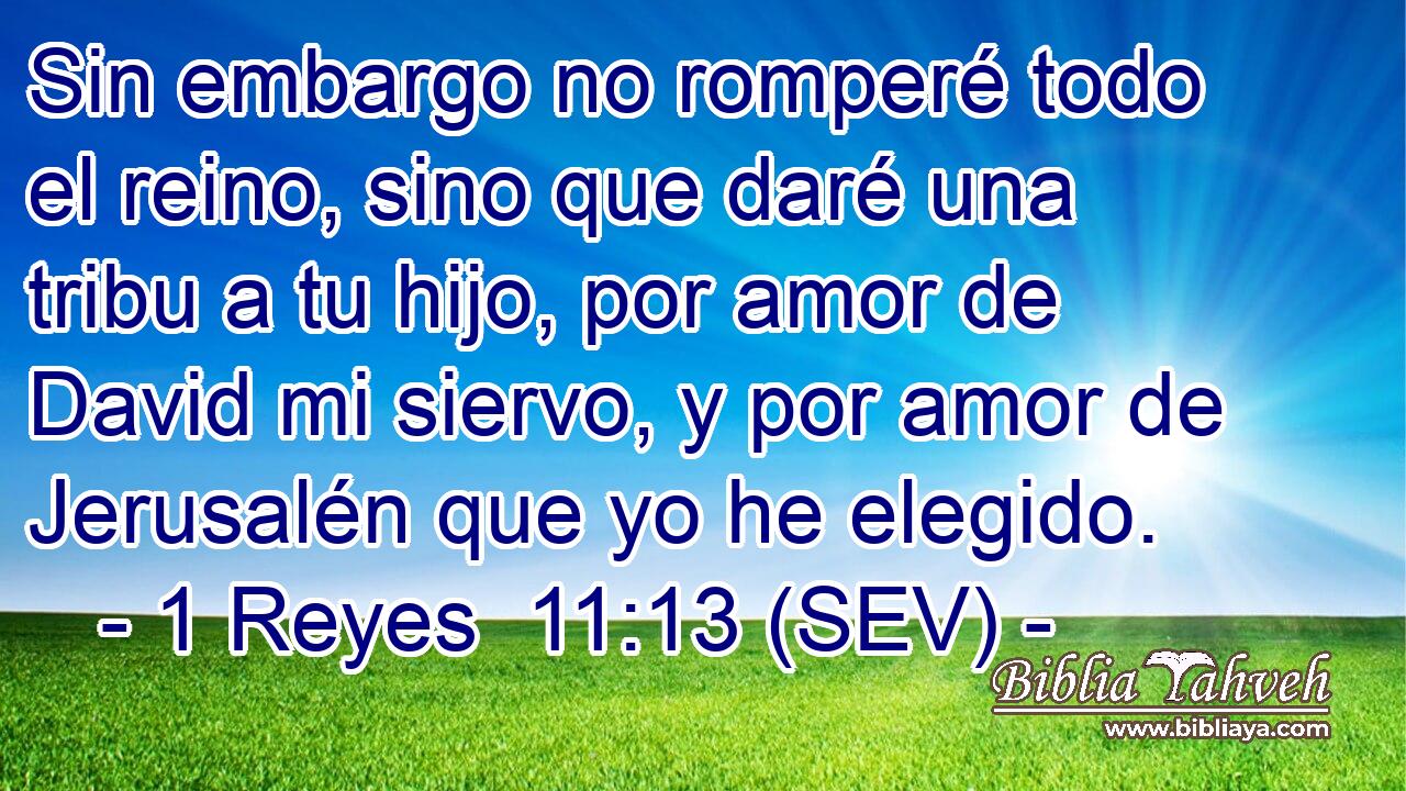 Sin embargo no romperé todo el reino, sino que daré una tribu a tu hijo, por amor de David mi siervo, y por amor de Jerusalén que yo he elegido.