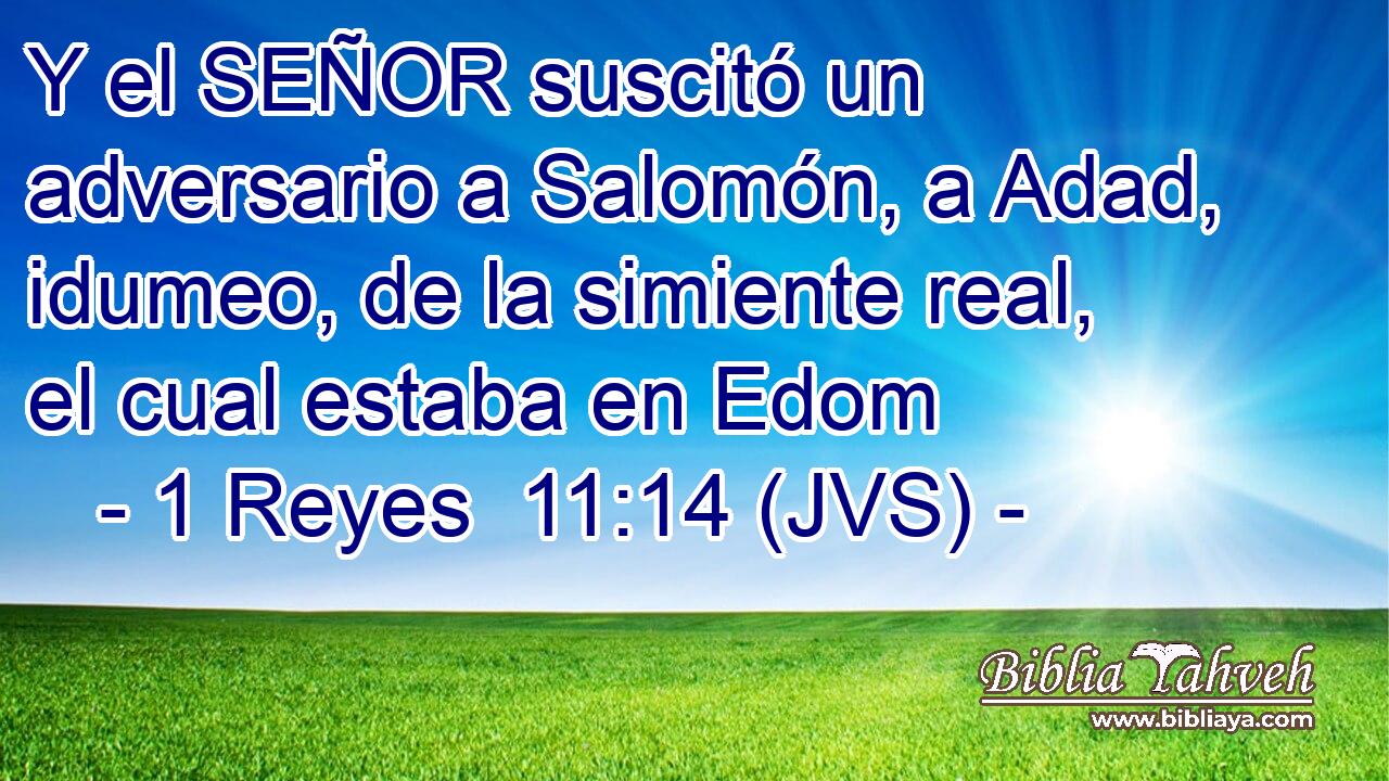 Y el SEÑOR suscitó un adversario a Salomón, a Adad, idumeo, de la simiente real, el cual estaba en Edom